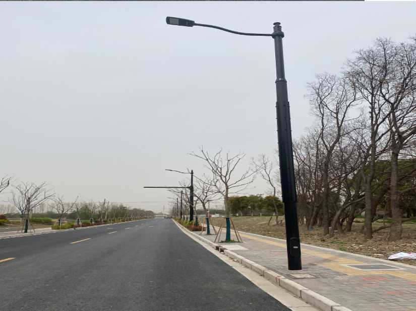 大名县上海综合杆 太阳能路灯工程