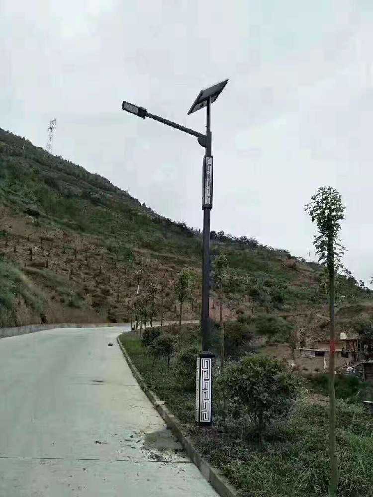 大名县仿古太阳能路灯